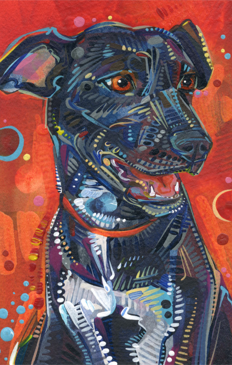 little black dog acrylic painting by pet artist Gwenn Seemel