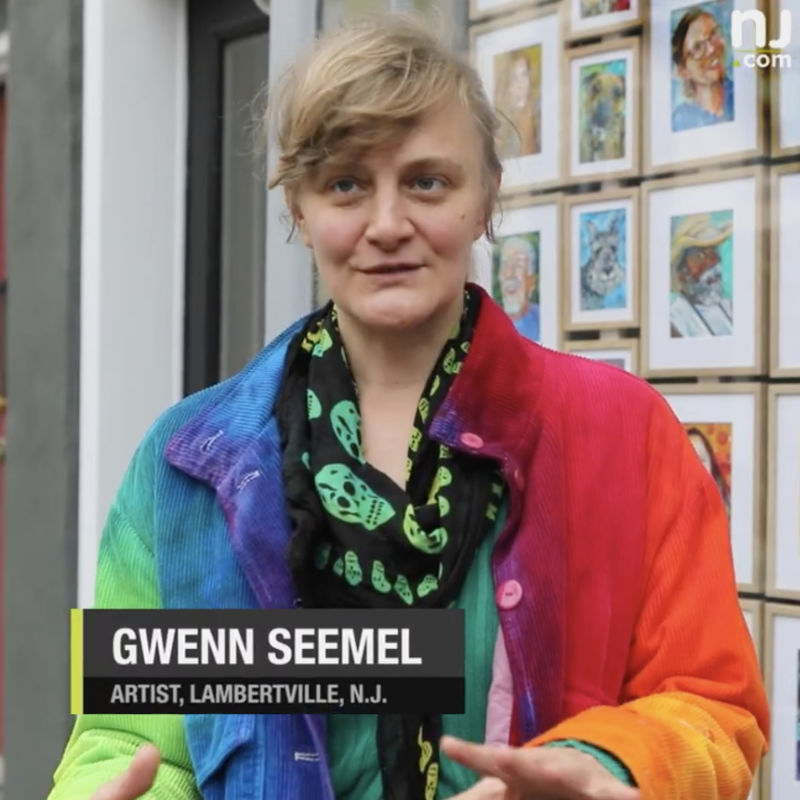 Gwenn Seemel sur NJ.com