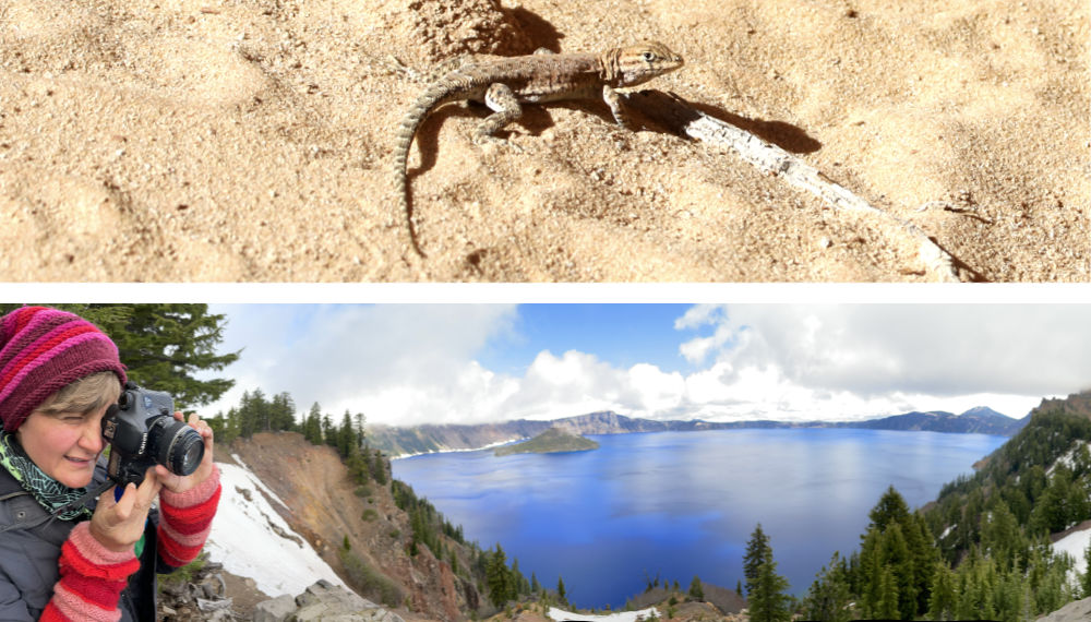 lizard and Crater Lake panorama