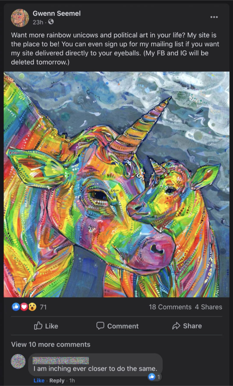 Gwenn Seemel’s Facebook profile